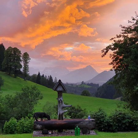 Biobauernhof Schoettelbauer Rosenau am Hengstpass 외부 사진