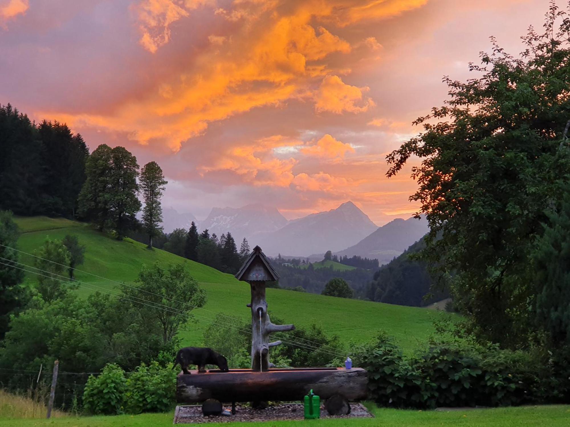Biobauernhof Schoettelbauer Rosenau am Hengstpass 외부 사진